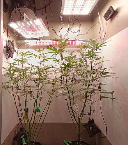 Growreport Bild 56