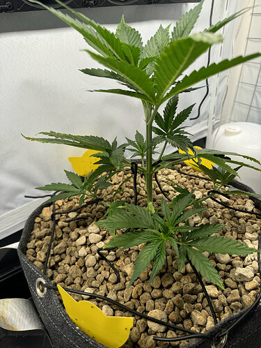 20240501_044041149_iOS