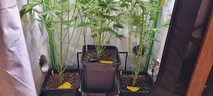 Growreport Bild 11