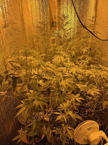 Growreport Bild 5