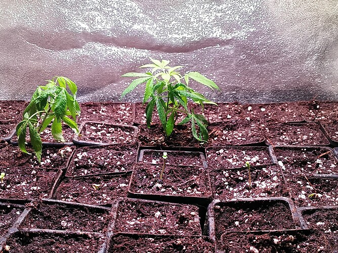 Growreport Bild 22