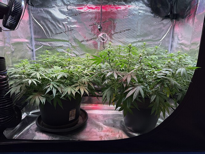 Growreport Bild 26