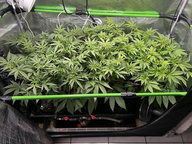 Growreport Bild 5
