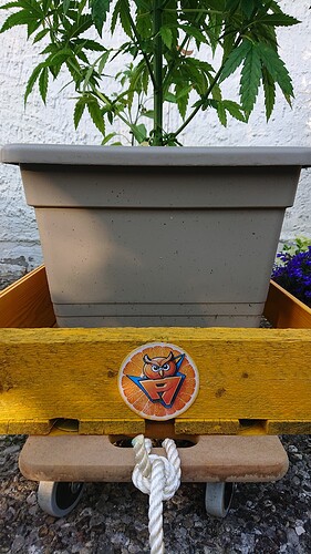 Growreport Bild 9