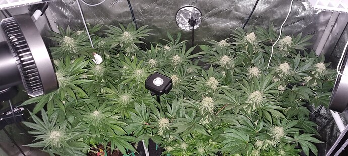 Growreport Bild 9