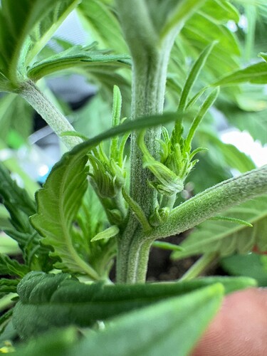 Growreport Bild 8