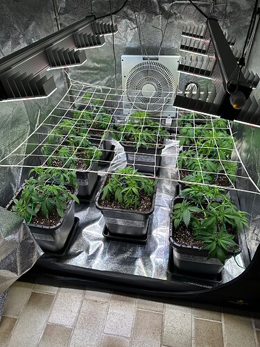 Growreport Bild 59