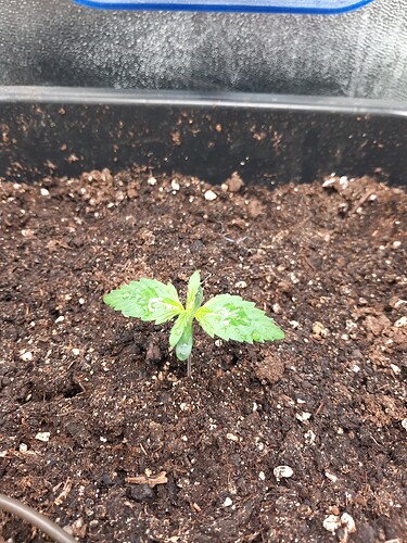 Growreport Bild 5