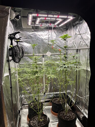 Growreport Bild 12