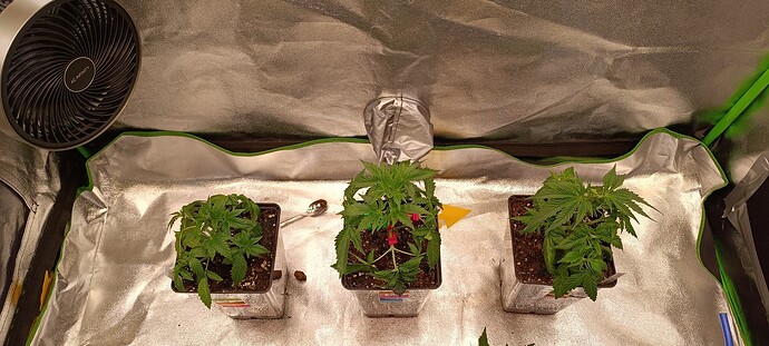 Growreport Bild 8