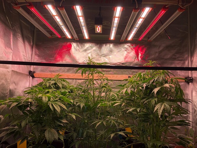 Growreport Bild 26