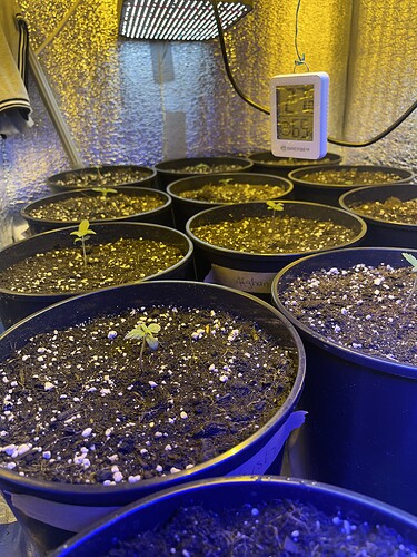 Growreport Bild 9