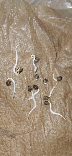 Screenshot_20250128_225422_Gallery