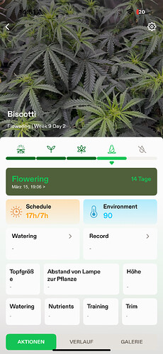 Growreport Bild 11