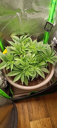 Growreport Bild 2
