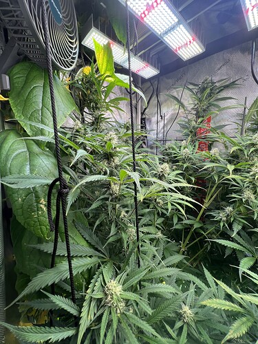 Growreport Bild 6