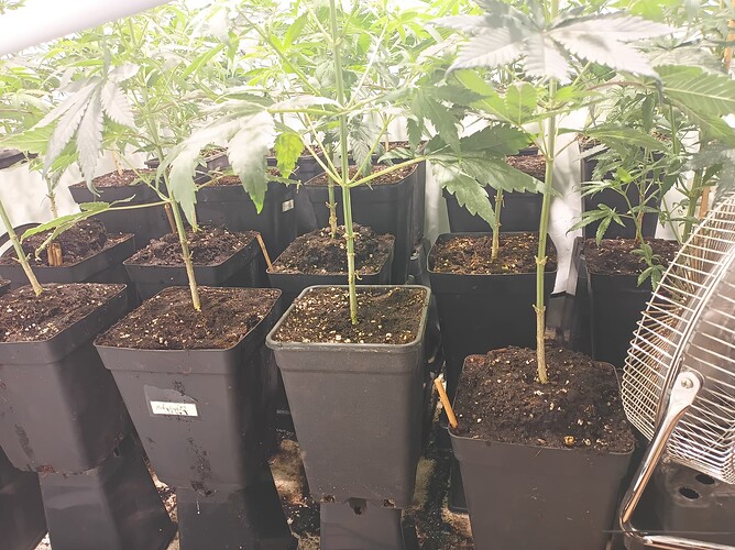 Growreport Bild 24
