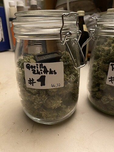 Growreport Bild 2