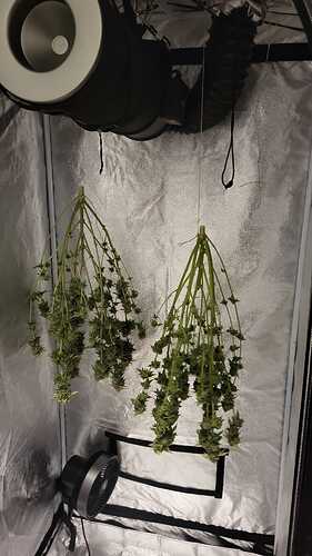 Growreport Bild 19