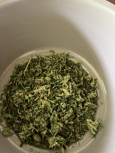 8444C55E-B650-484A-87EC-EA26EEAA0CC3