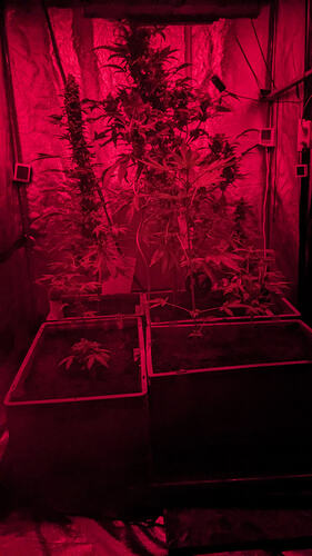 PXL_20260307_155702634