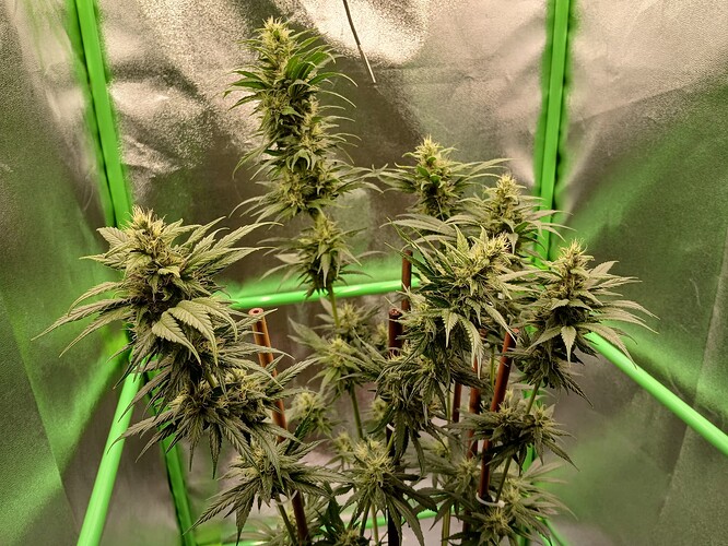 Growreport Bild 18