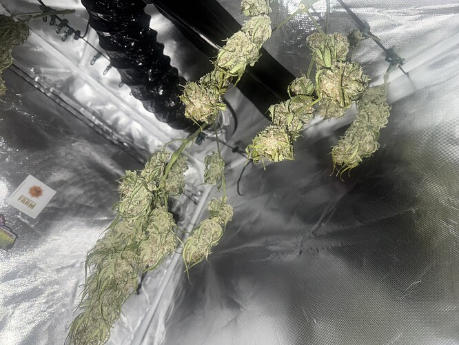 Growreport Bild 21
