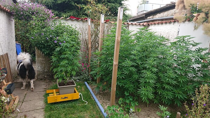 Growreport Bild 16