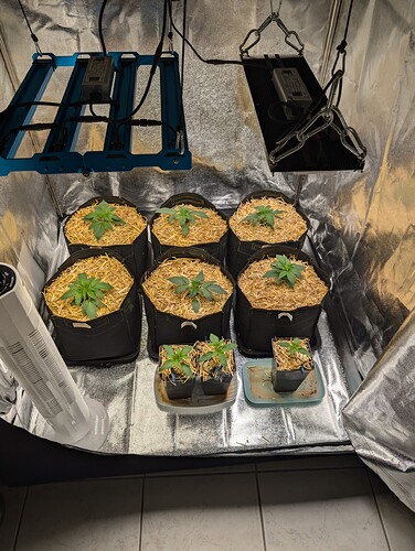 PXL_20240713_155322260