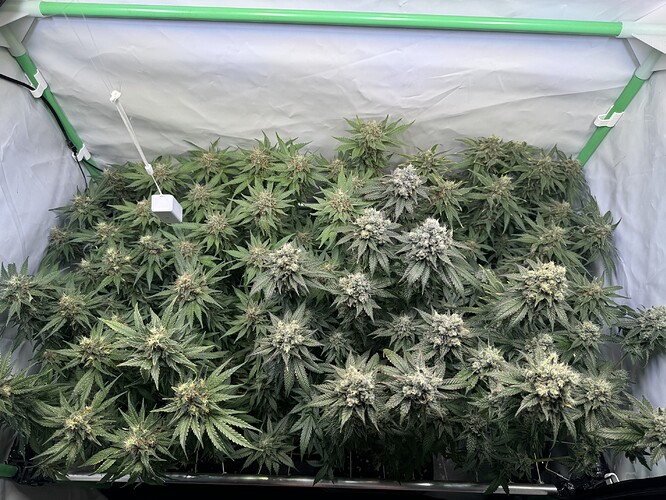 Growreport Bild 10