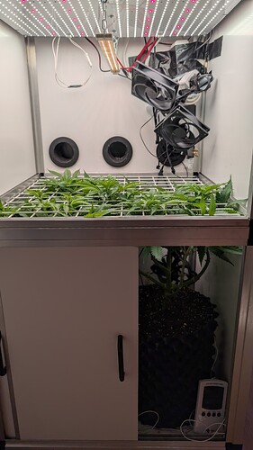 Growreport Bild 10