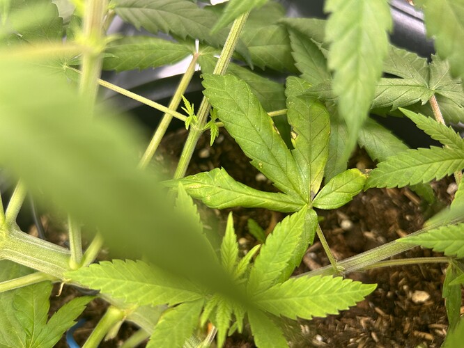 Growreport Bild 9