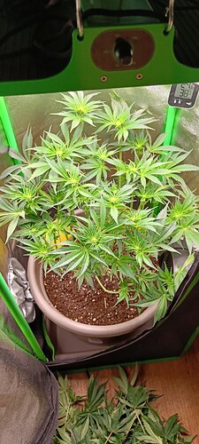 Growreport Bild 11
