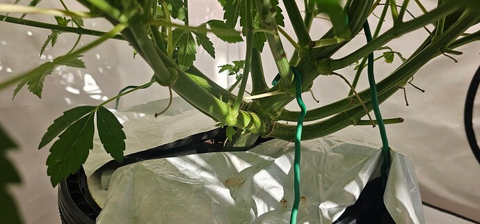 Growreport Bild 10