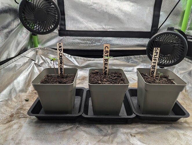 PXL_20240706_064648316.RAW-01.COVER