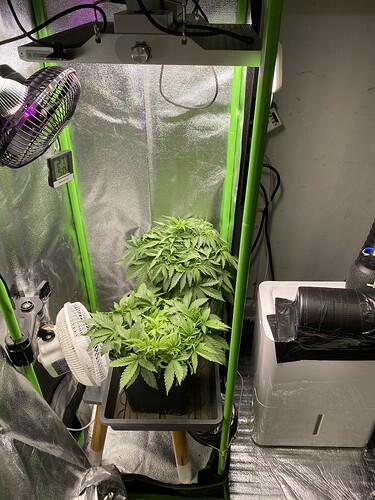 Growreport Bild 36