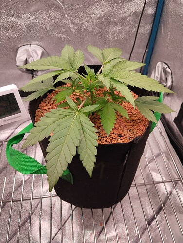 Growreport Bild 19