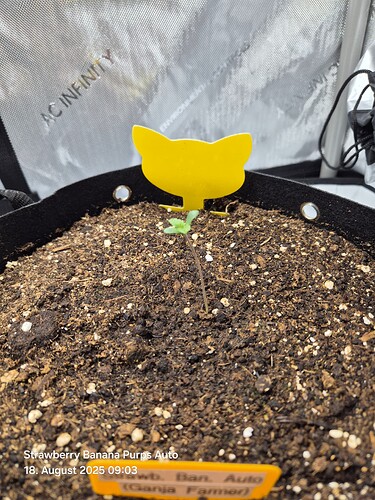 Growreport Bild 30