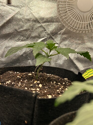 Growreport Bild 14