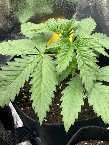 Growreport Bild 14