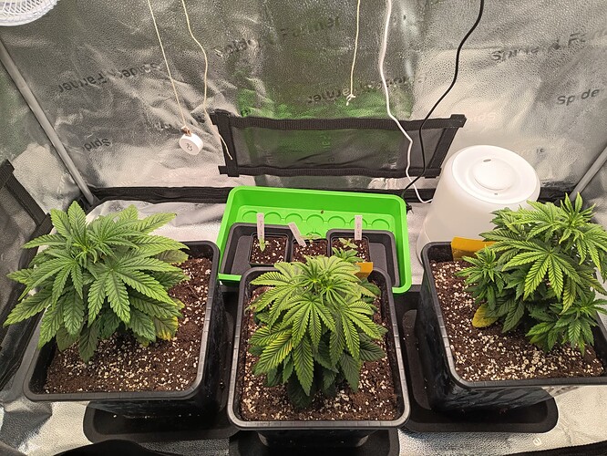 IMG_20240429_100549_980