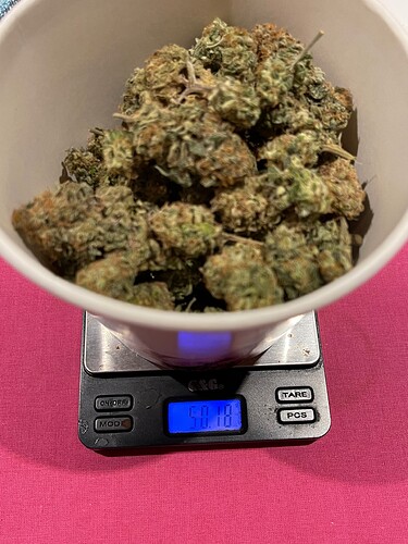 Growreport Bild 2