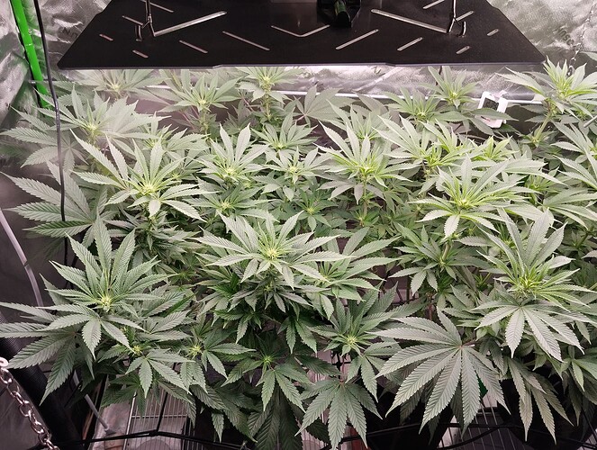 Growreport Bild 14