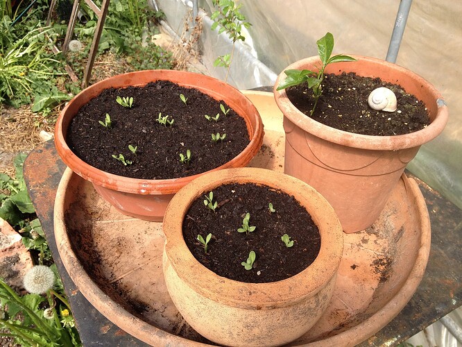 Growreport Bild 24
