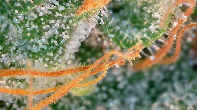 Growreport Bild 14