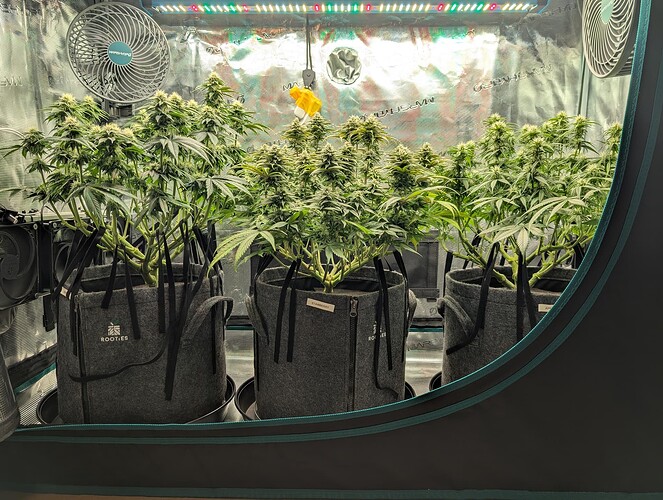 Growreport Bild 15