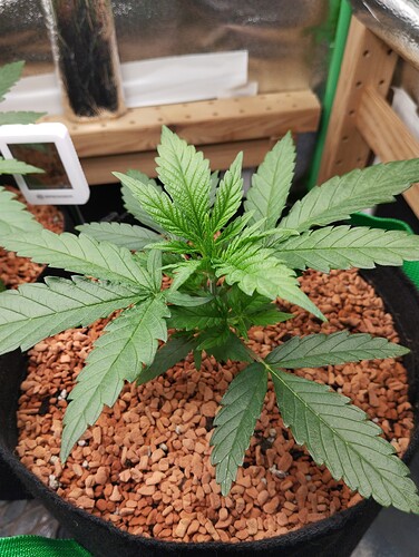 Growreport Bild 13