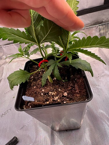 Growreport Bild 22