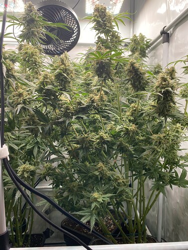 Growreport Bild 1