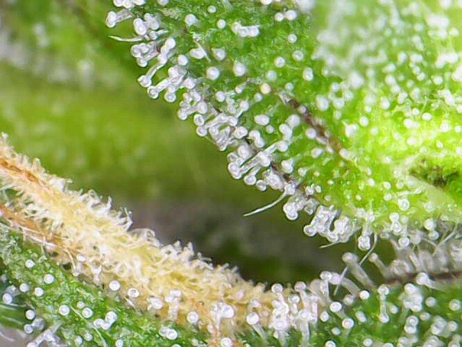 Photo_2024-06-14 10_00_02_033